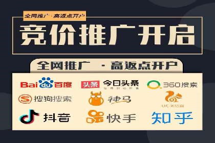 某行业巨头如何利用百度推广服务费提升业绩